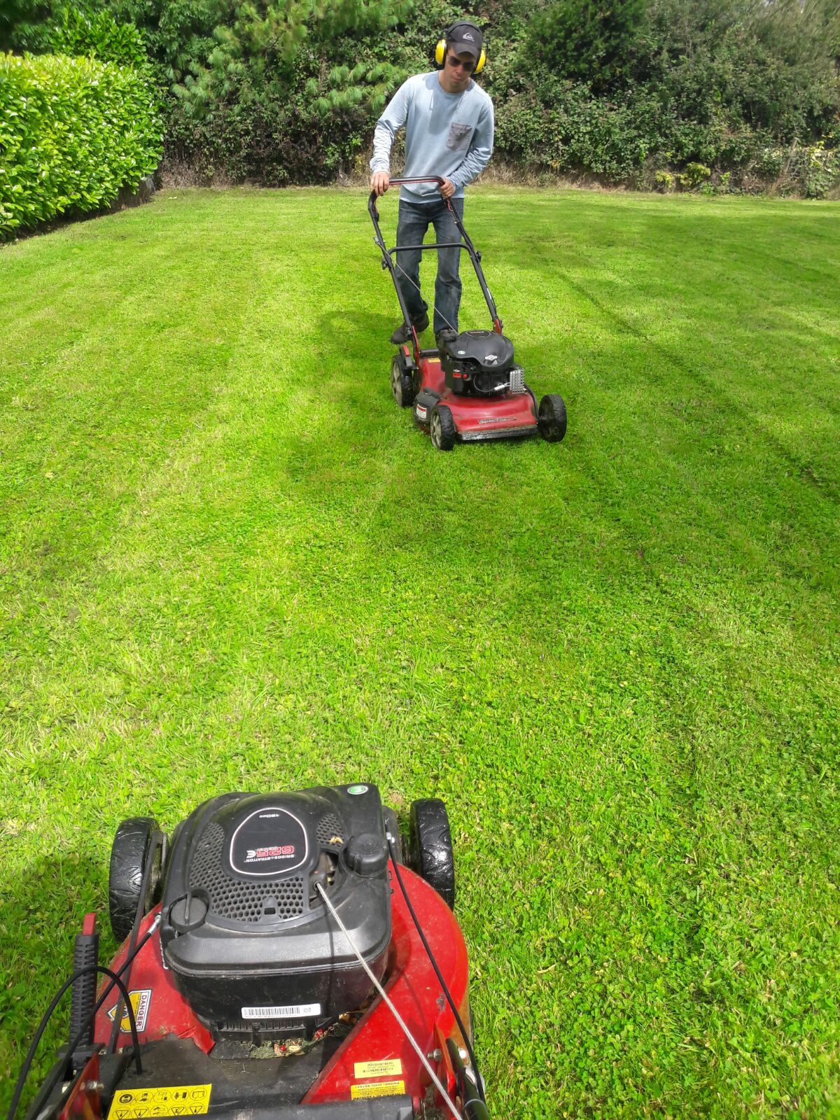 lawn mowing